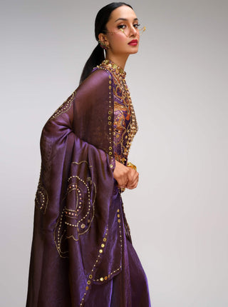 Purple paisley peplum draped sari set