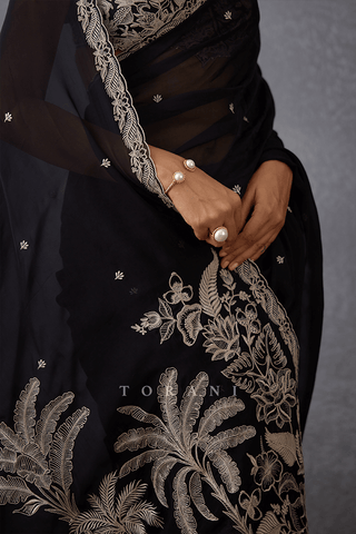 Torani-Black Raat Rani Damini Sari And Blouse-INDIASPOPUP.COM