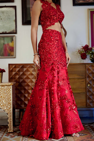 Syrah red lehenga set