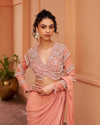 Chhavvi Aggarwal-Peach Sari And Embroidered Blouse-INDIASPOPUP.COM