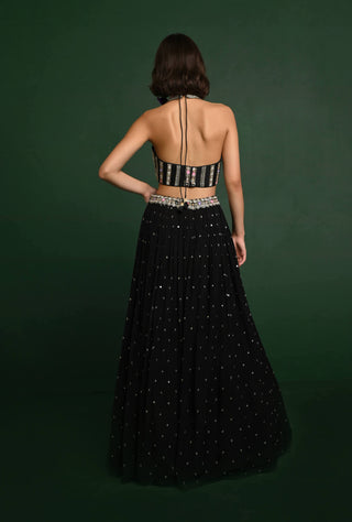 Chamee And Palak-Black Sonia Lehenga Set-INDIASPOPUP.COM