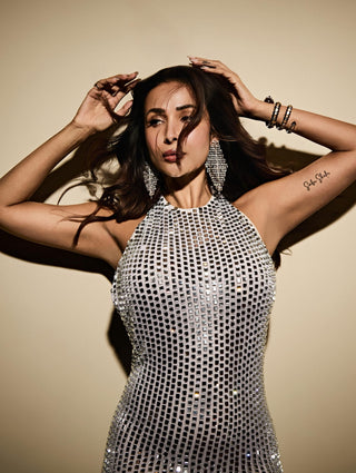 Silver virelle gown