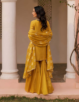 Chhavvi Aggarwal-Yellow Tissue Sharara Set-INDIASPOPUP.COM