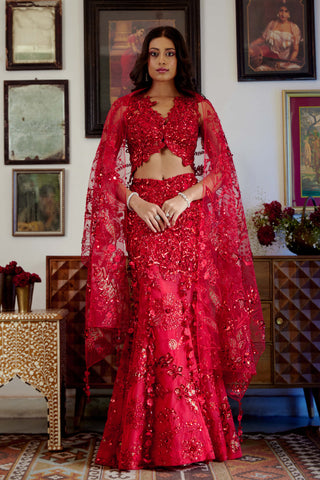 Syrah red lehenga set