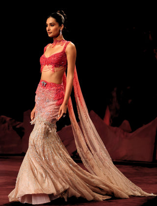 Lavangi ombre fitted lehenga set
