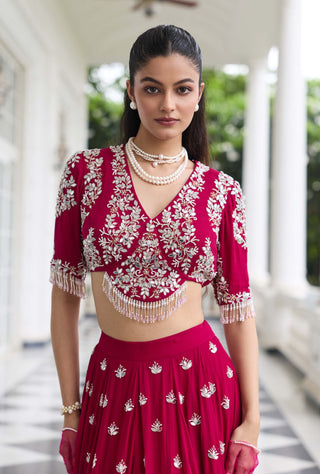 Shivika berry pink embellished lehenga set
