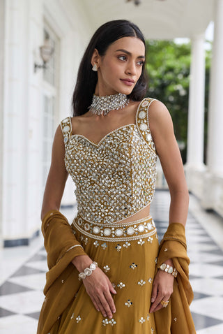 Nidhi brass gold embellished lehenga set