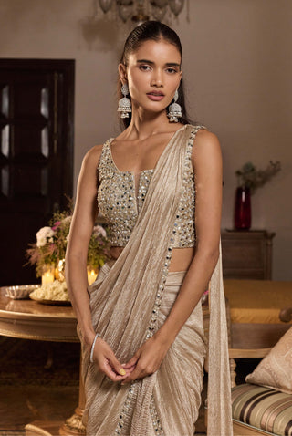 Shagun tissue gold embellished sari with blouse