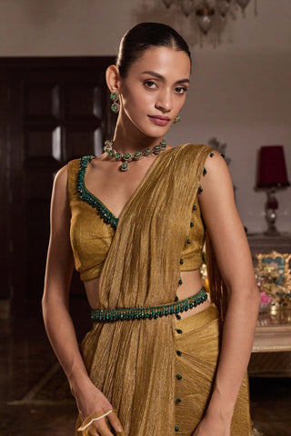 Shivani tissue dark gold embellished sari set
