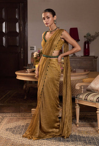 Shivani tissue dark gold embellished sari set