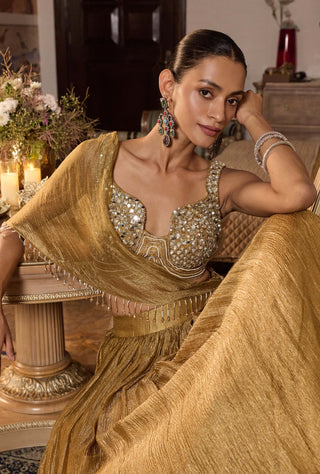 Indira tissue dark gold embellished lehenga set