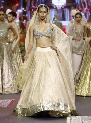 Noor-e-zar gold lehenga set