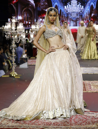 Noor-e-zar gold lehenga set