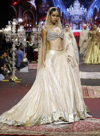 Noor-e-zar gold lehenga set