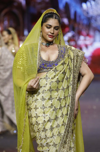 Neelkanthi yellow-blue noor sari set