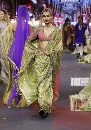 Gulnaar green-pink zareen sari set