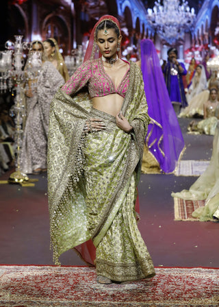 Gulnaar green-pink zareen sari set