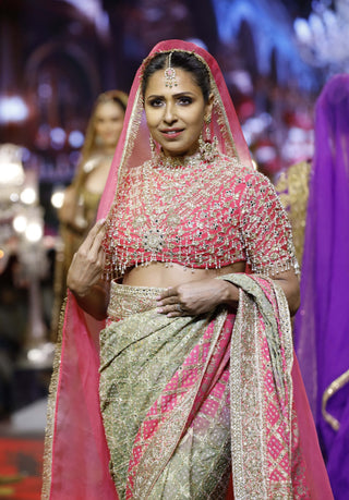 Gulnaar pink-green ombré sari set