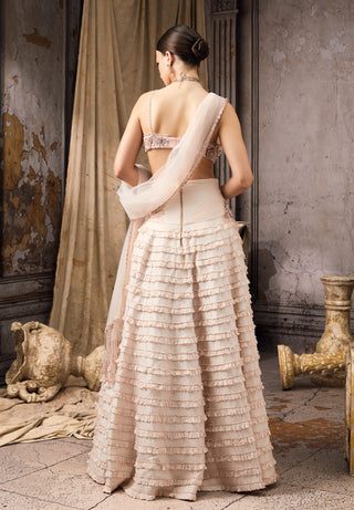Blush pink embellished ruffle lehenga set