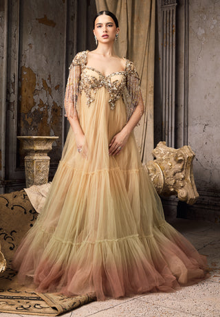 Nude blush ombre embellished tulle gown
