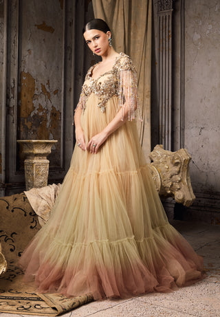 Nude blush ombre embellished tulle gown