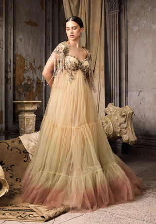 Nude blush ombre embellished tulle gown