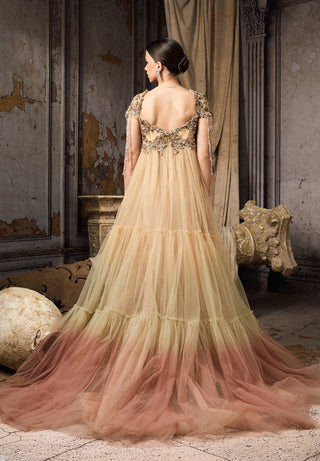 Nude blush ombre embellished tulle gown