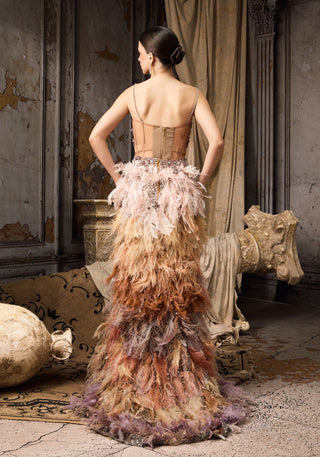 MultiColor feather embellished corset and skirt