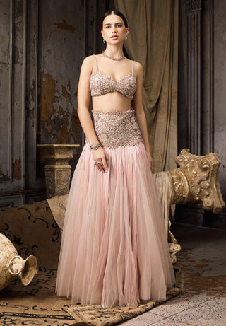 Blush pink embroidered tassel lehenga and blouse