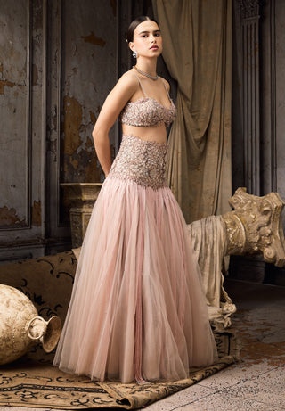 Blush pink embroidered tassel lehenga and blouse