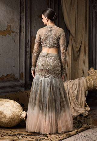 Grey blush ombre embellished lehenga and blouse