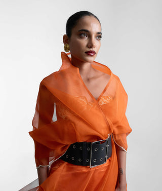 Ekaya Amber Glow Sari available on indiaspopup