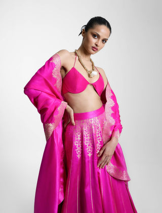 Scarlet rani lehenga