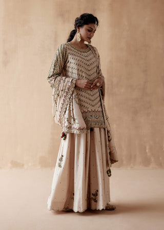 Aman Takyar-Ivory Floral Embroidery Sharara Set-INDIASPOPUP.COM