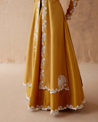 Aman Takyar-Mustard Floral Embroidery Jacket And Skirt-INDIASPOPUP.COM