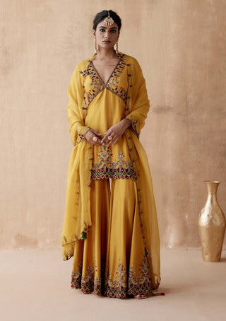 Aman Takyar-Mustard Floral Embroidery Kurta Sharara Set-INDIASPOPUP.COM