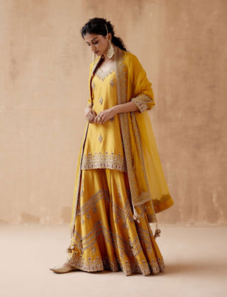 Aman Takyar-Mustard Gold Embroidery Kurta Sharara Set-INDIASPOPUP.COM