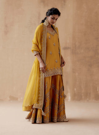 Aman Takyar-Mustard Gold Embroidery Kurta Sharara Set-INDIASPOPUP.COM