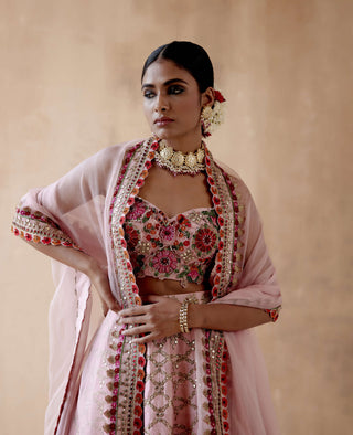 Aman Takyar-Pink Raw Silk Lehenga Set-INDIASPOPUP.COM