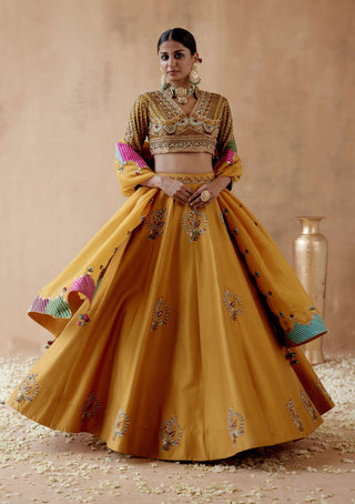 Aman Takyar-Mustard Floral Embroidery Lehenga Set-INDIASPOPUP.COM