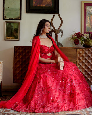 Tia red lehenga set