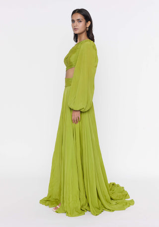 Deme By Gabriella-Parrot Green One-Shoulder Gown-INDIASPOPUP.COM