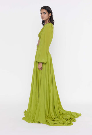 Deme By Gabriella-Parrot Green One-Shoulder Gown-INDIASPOPUP.COM