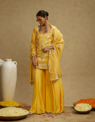 Sva By Sonam And Paras Modi Yellow Dandelion Embellished Butta Kurta Set available on indiaspopup