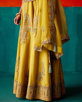 Aman Takyar-Lime Green Embroidered Sharara Set-INDIASPOPUP.COM