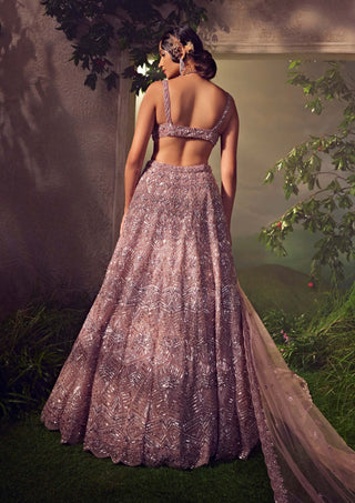 Aneesh Agarwaal-Mauve Embellished Tulle Lehenga Set-INDIASPOPUP.COM