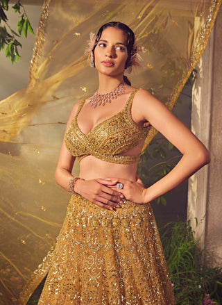 Aneesh Agarwaal-Amber Gold Embroidered Lehenga Set-INDIASPOPUP.COM