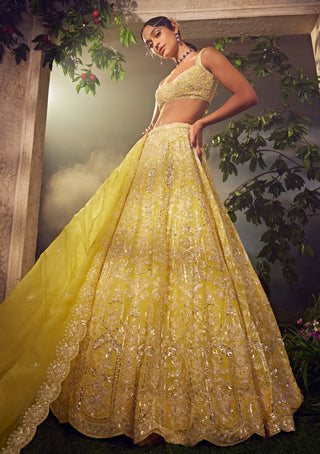 Aneesh Agarwaal-Prime Yellow Organza  Lehenga Set-INDIASPOPUP.COM