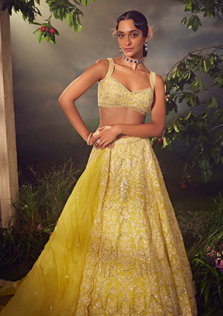 Aneesh Agarwaal-Prime Yellow Organza  Lehenga Set-INDIASPOPUP.COM