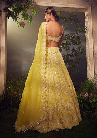 Aneesh Agarwaal-Prime Yellow Organza  Lehenga Set-INDIASPOPUP.COM